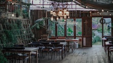 A rustic indoor setting with wooden floors and tables. The space is decorated with an assortment of chairs around several tables, surrounded by green plants and fairy lights hanging from the ceiling. A neon 'Happy Birthday' sign is visible in the background, indicating a birthday celebration is taking place. There are large windows allowing natural light to stream in, and various wrapped gifts are placed near the windows.