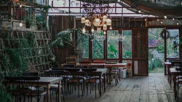 A rustic indoor setting with wooden floors and tables. The space is decorated with an assortment of chairs around several tables, surrounded by green plants and fairy lights hanging from the ceiling. A neon 'Happy Birthday' sign is visible in the background, indicating a birthday celebration is taking place. There are large windows allowing natural light to stream in, and various wrapped gifts are placed near the windows.