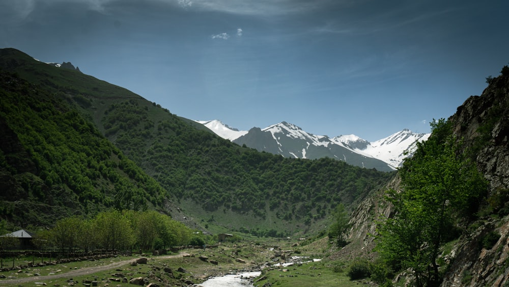 a river running through a lush green valley