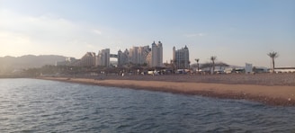 A beach scene with calm waters in the foreground and a sandy shore lined with palm trees. Several large resort buildings are visible in the background under a clear sky.