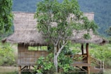 A rustic bamboo hut with a thatched roof, surrounded by lush green vegetation and a prominent tree in front. The hut is elevated on stilts, and there is a railing on the porch area. The background features a serene landscape with mountains partially obscured by mist.