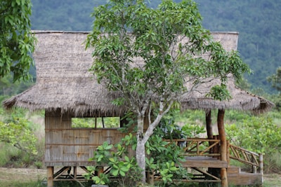 A rustic bamboo hut with a thatched roof, surrounded by lush green vegetation and a prominent tree in front. The hut is elevated on stilts, and there is a railing on the porch area. The background features a serene landscape with mountains partially obscured by mist.