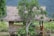 A rustic bamboo hut with a thatched roof, surrounded by lush green vegetation and a prominent tree in front. The hut is elevated on stilts, and there is a railing on the porch area. The background features a serene landscape with mountains partially obscured by mist.