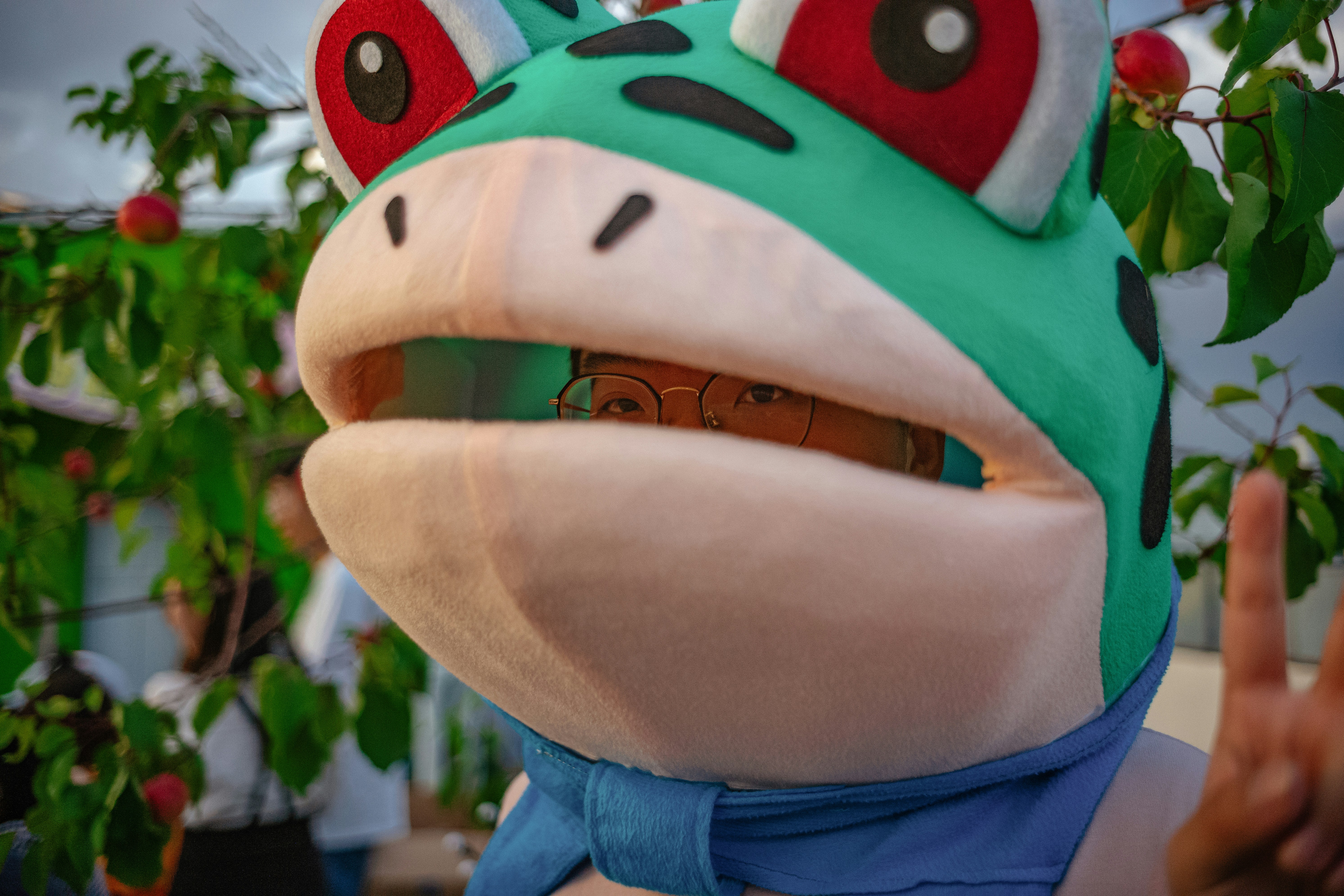 Photo by tommaomaoer