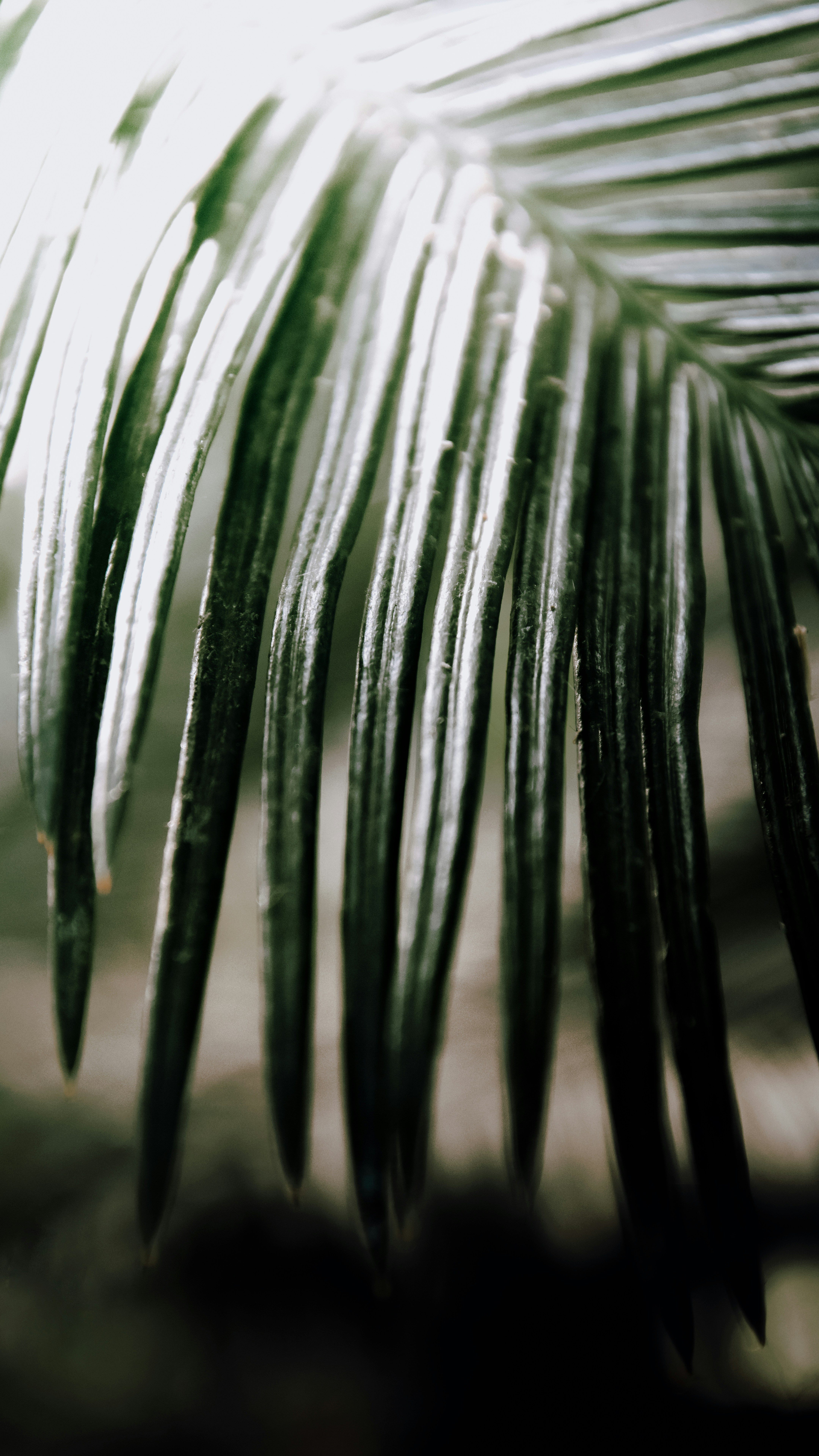 Photo by impermanent