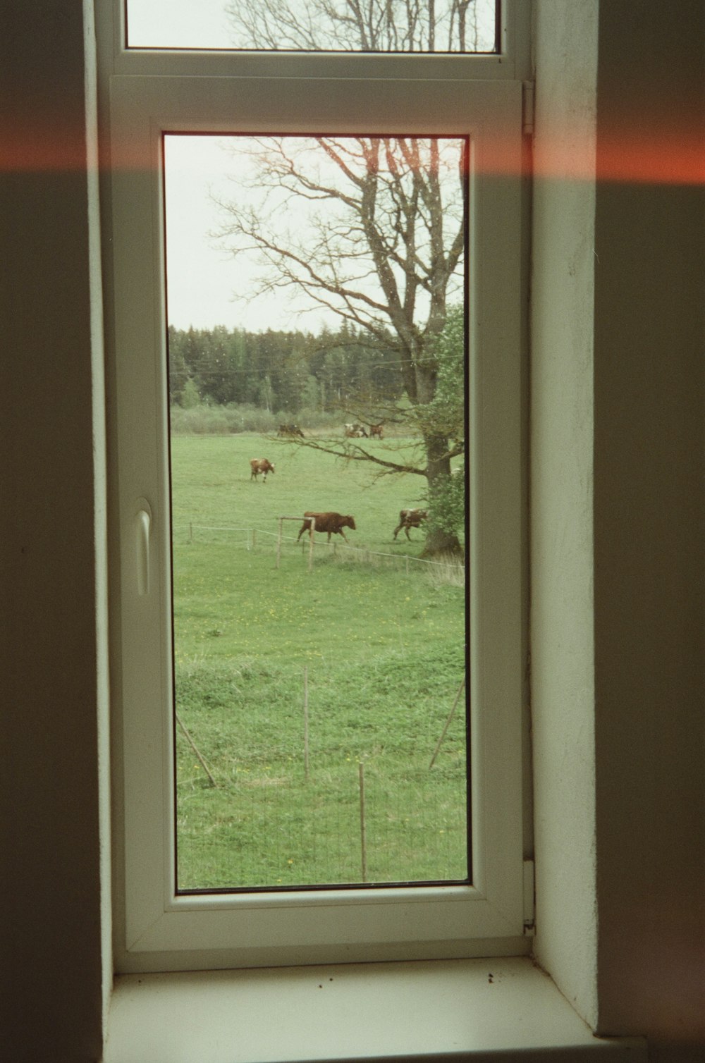 a view of a field through a window