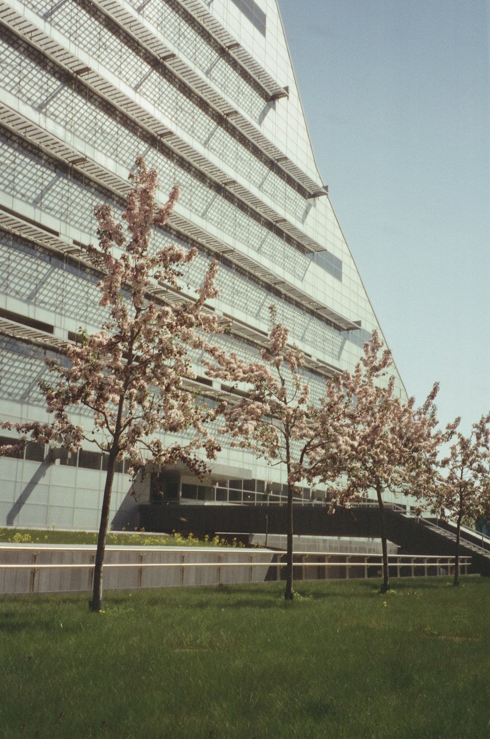 a building with a grassy area in front of it