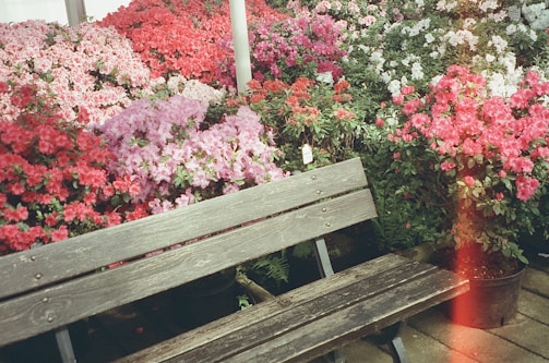 A vibrant garden with colorful seasonal flowers and a wooden bench.