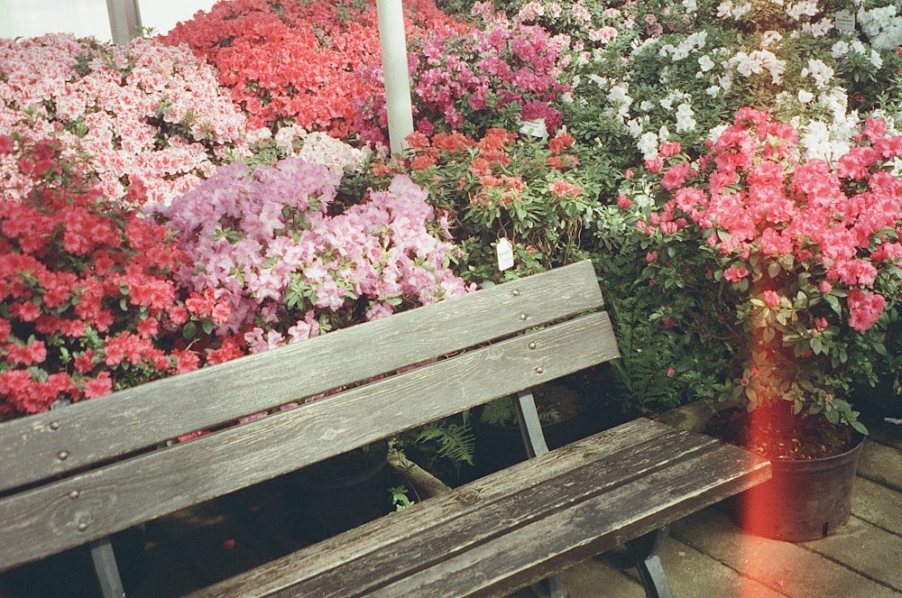 a wooden bench sitting in front of a bunch of flowers