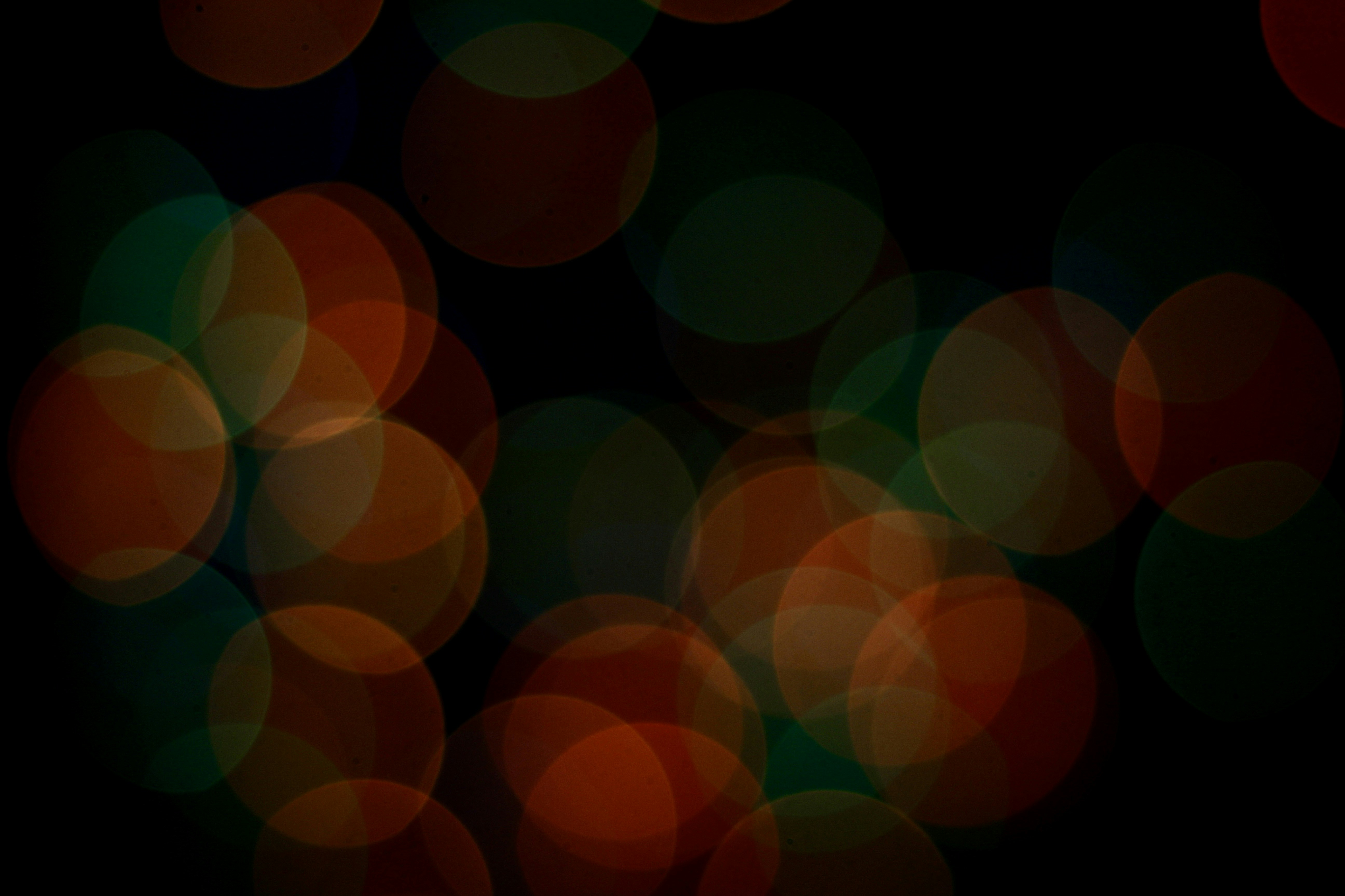 Photo by toushifalam