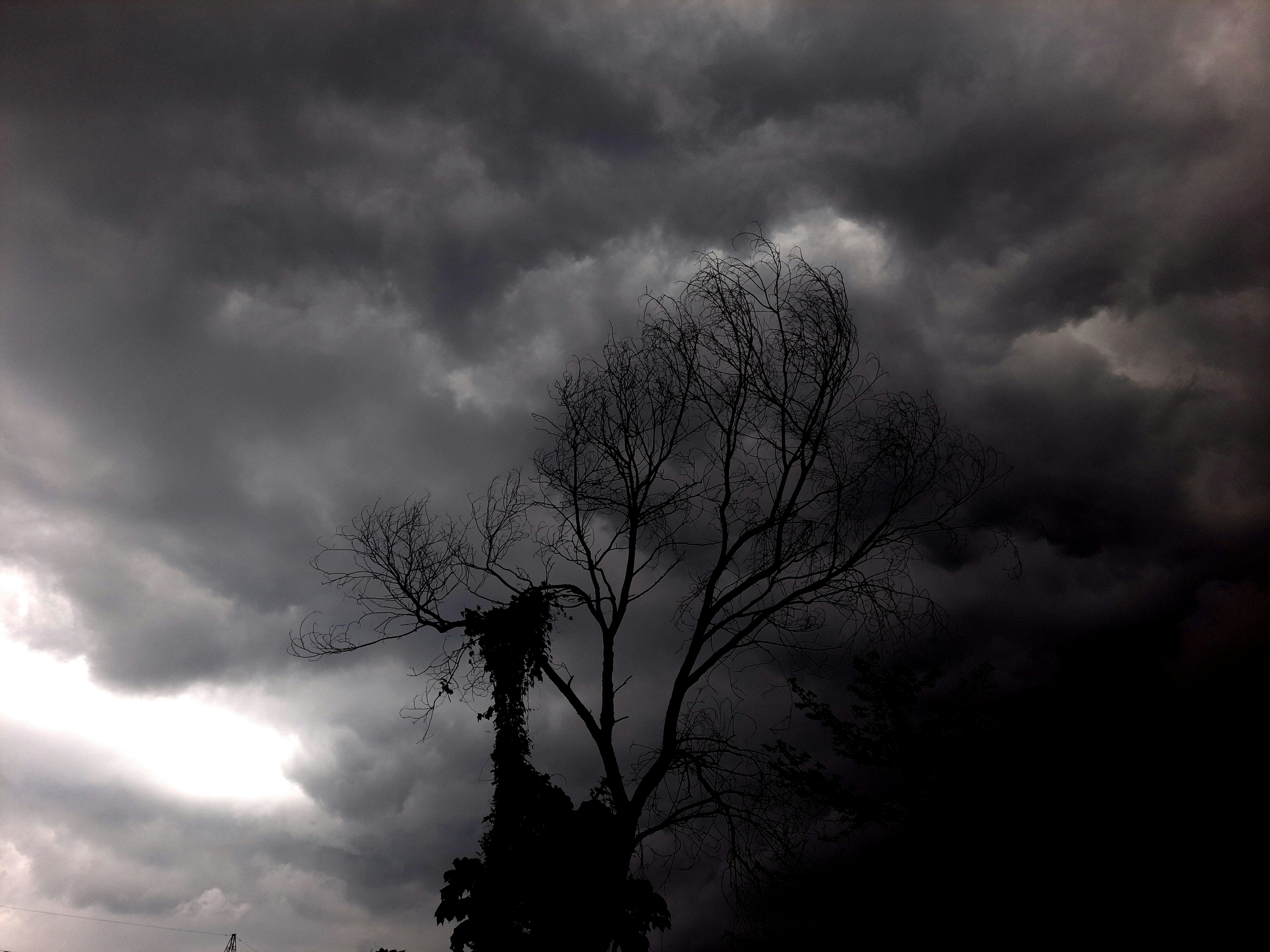 Photo by shutters_flutter