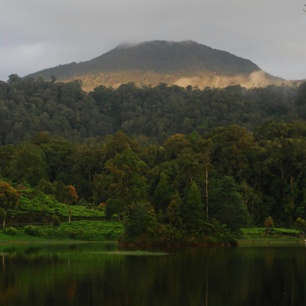 a lake with a mountain in the background