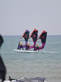 a group of people wind surfing in the ocean