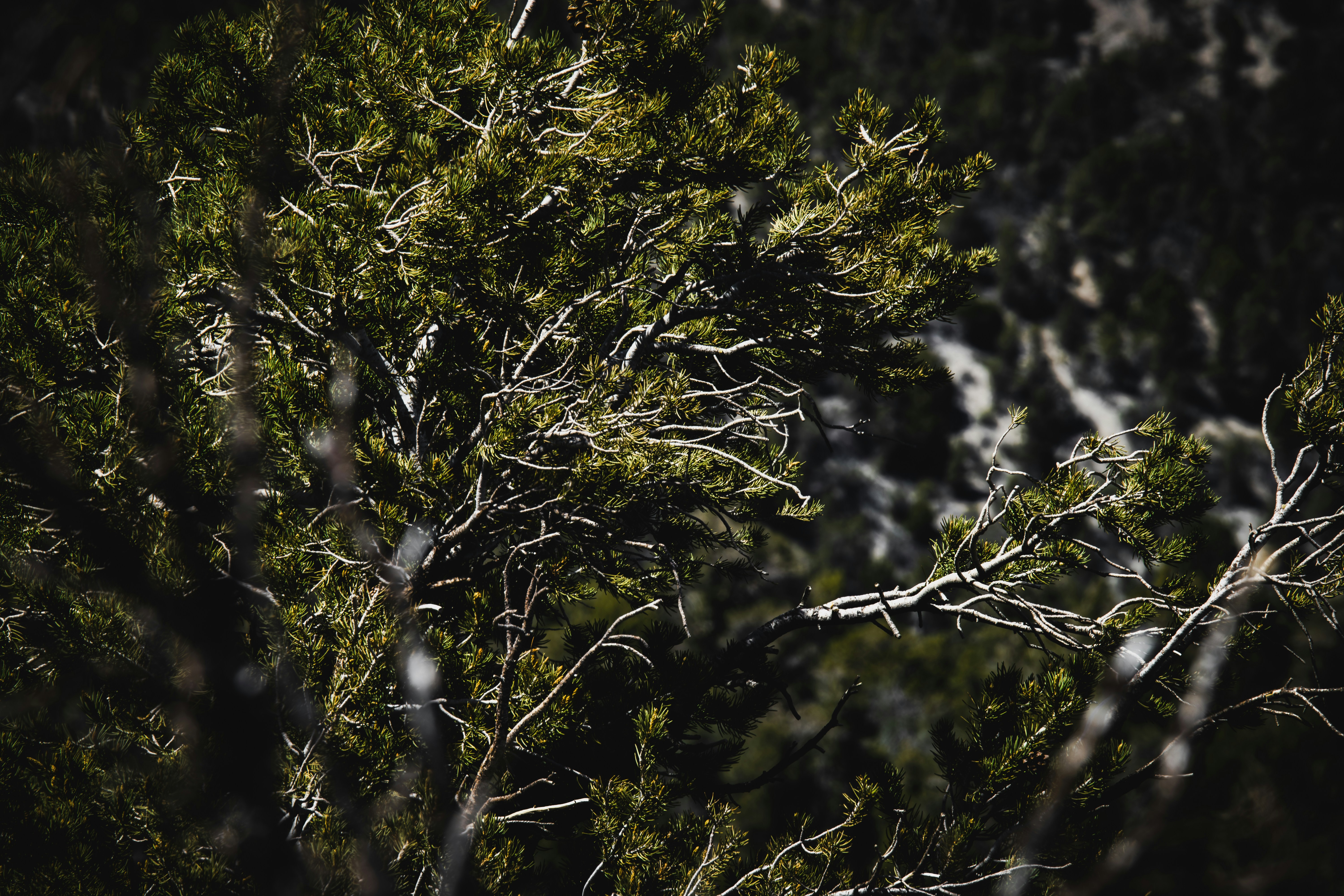 Photo by brice_cooper18