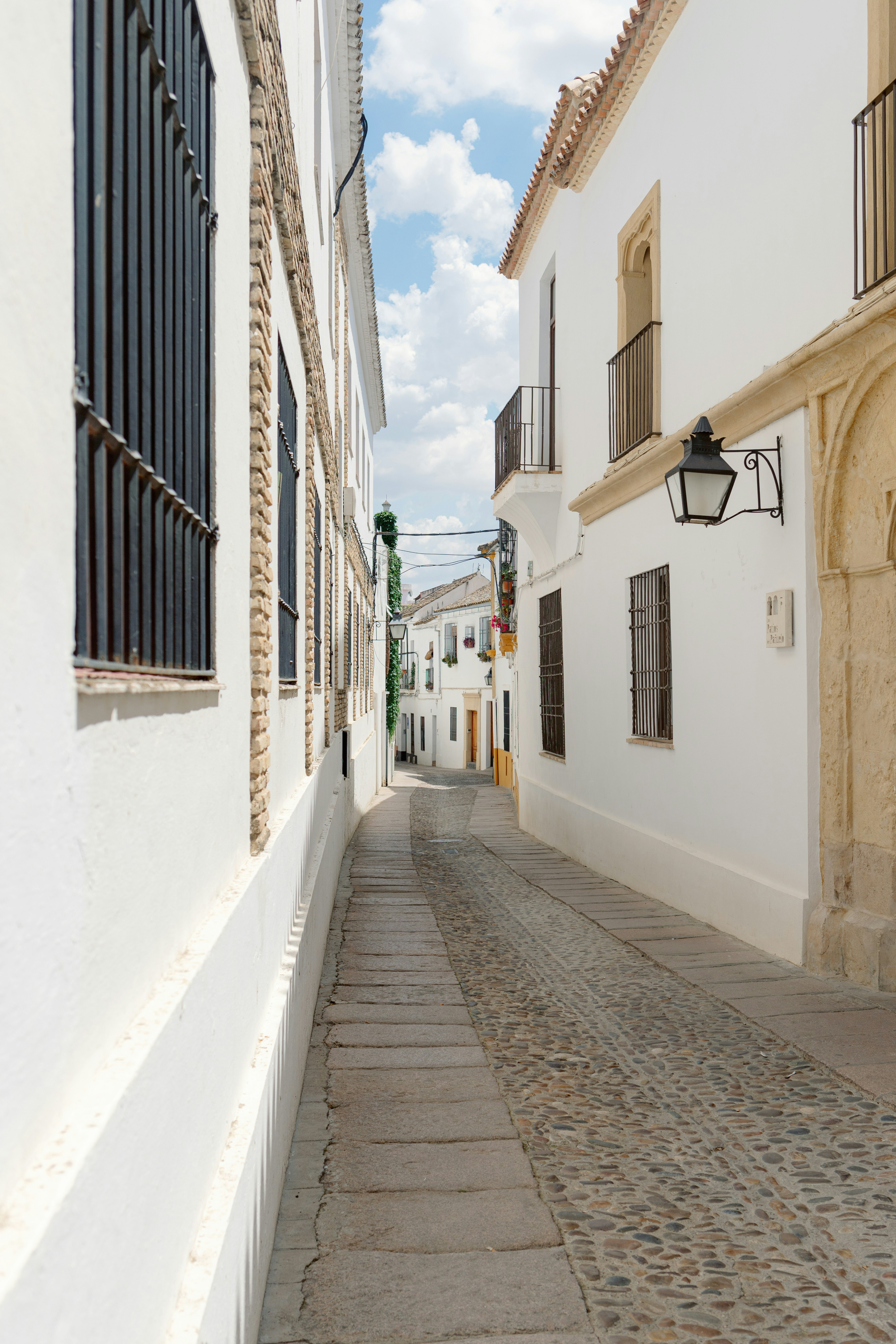 Photo by juliamatuzova