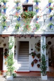 A courtyard with a staircase leading up to a small window, surrounded by vibrant flowering plants in blue pots mounted on a white wall. The area is adorned with potted plants and vines, adding to the lush and colorful atmosphere. Two vintage-style black lanterns are fixed to the wall for lighting.