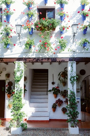 A courtyard with a staircase leading up to a small window, surrounded by vibrant flowering plants in blue pots mounted on a white wall. The area is adorned with potted plants and vines, adding to the lush and colorful atmosphere. Two vintage-style black lanterns are fixed to the wall for lighting.