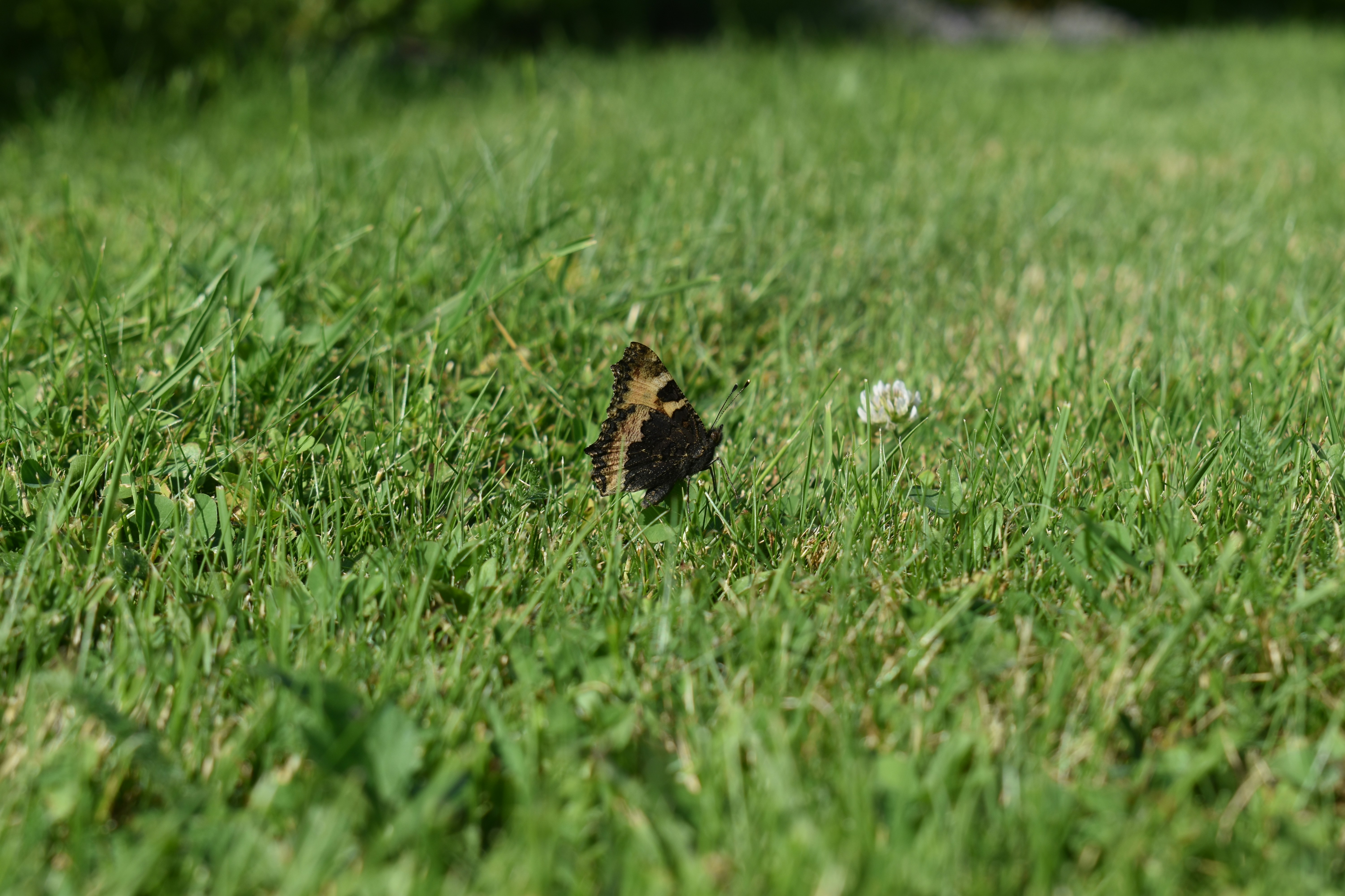 Photo by ninaelisereiter