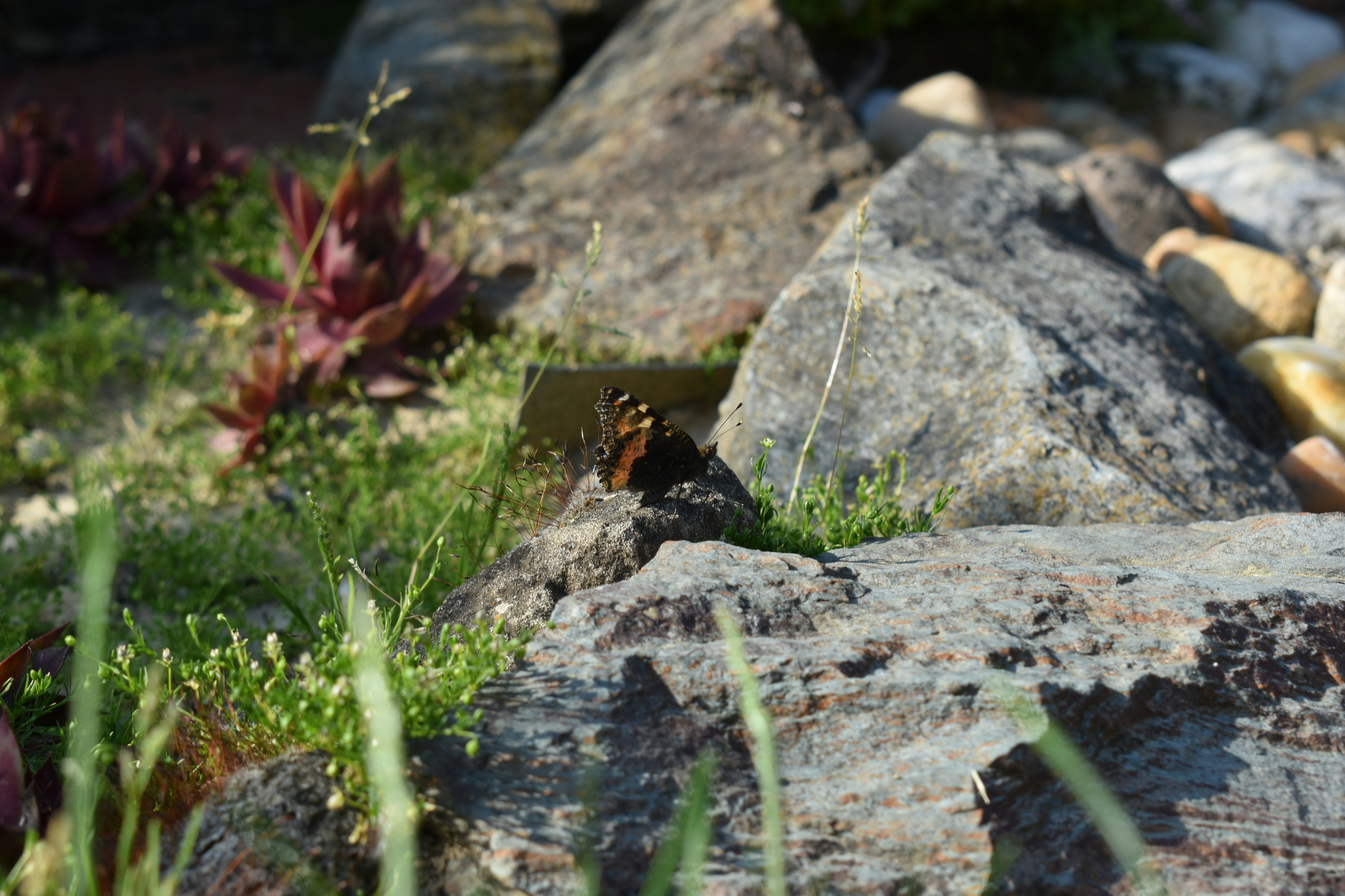 Photo by ninaelisereiter