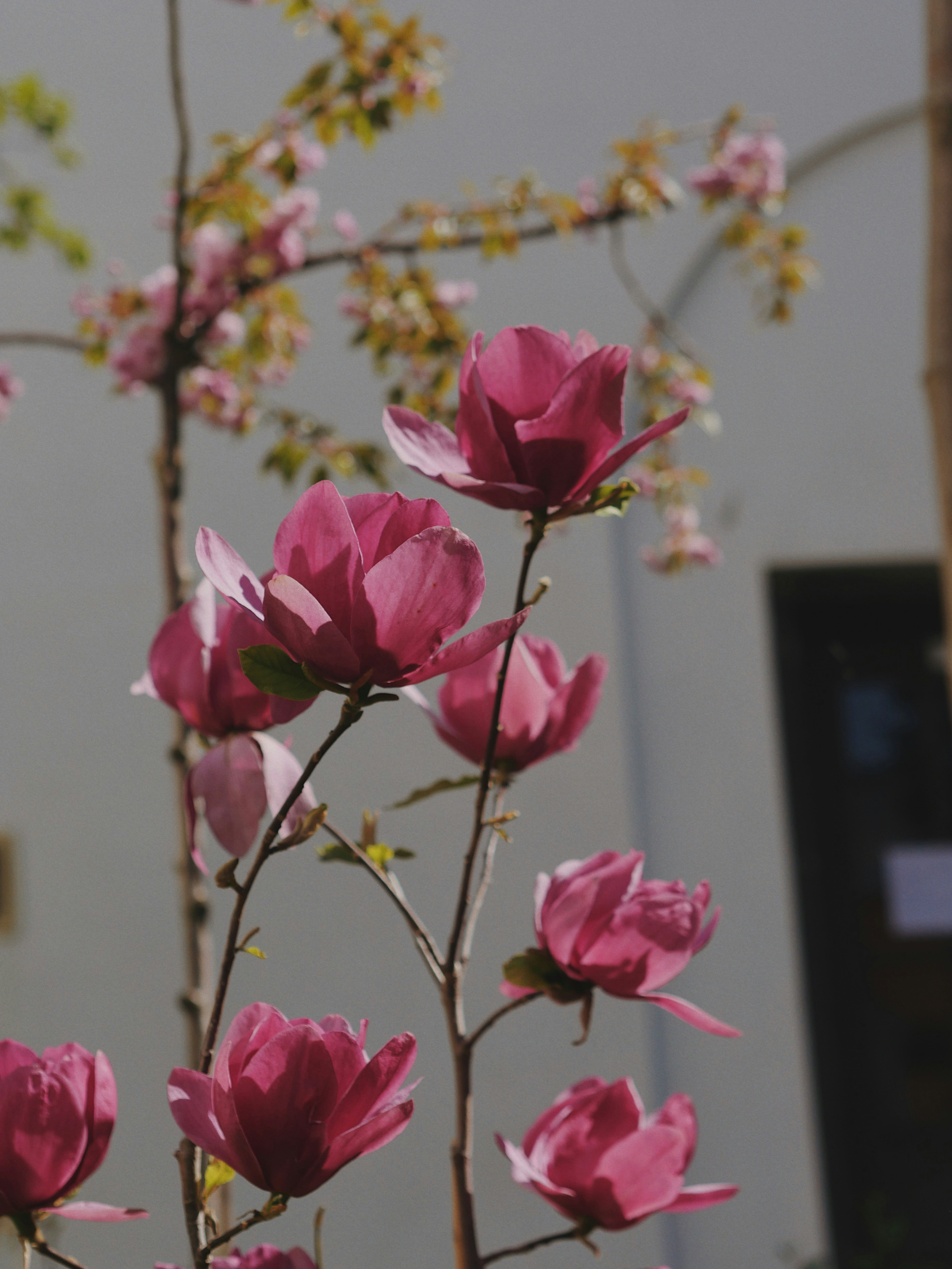 travel wallpaper aesthetic, wallpaper, Maintaining Friendships While Traveling: Best Ways 4