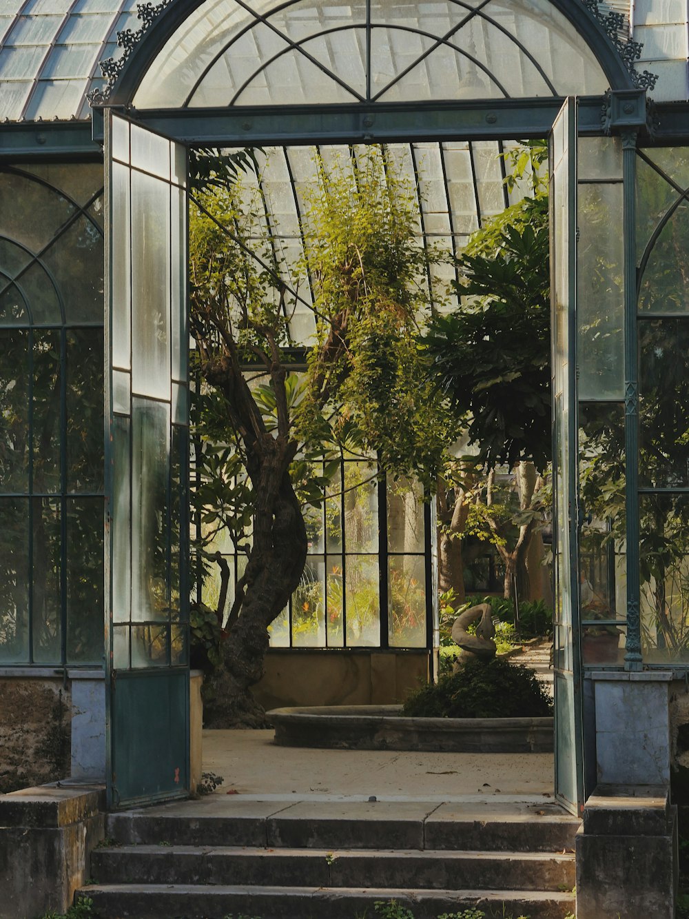 an open door leading to a garden with a tree in it