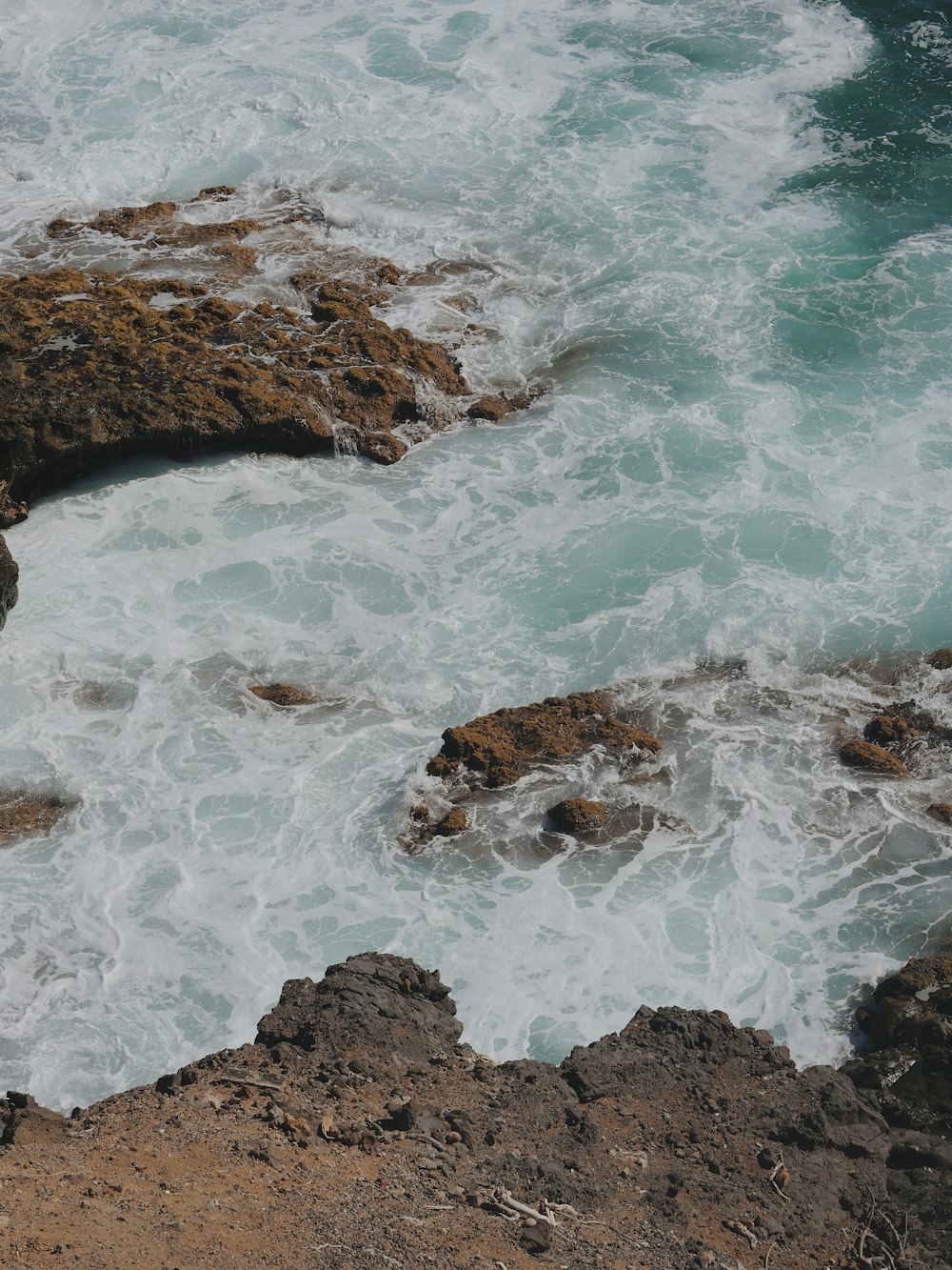 a bird sitting on a rock near the ocean