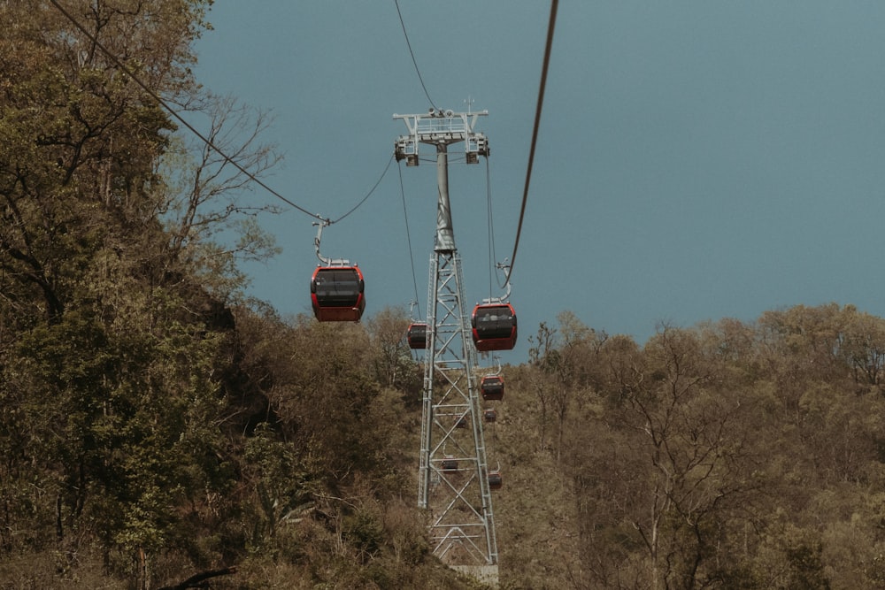 a couple of cable cars going up a hill