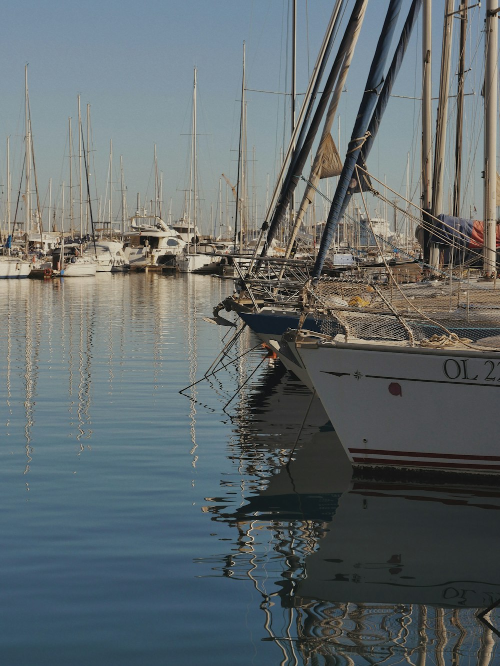 Un montón de barcos que están en el agua