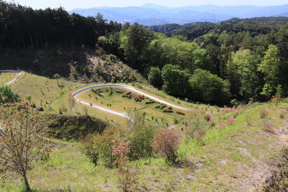 a winding road in the middle of a lush green hillside