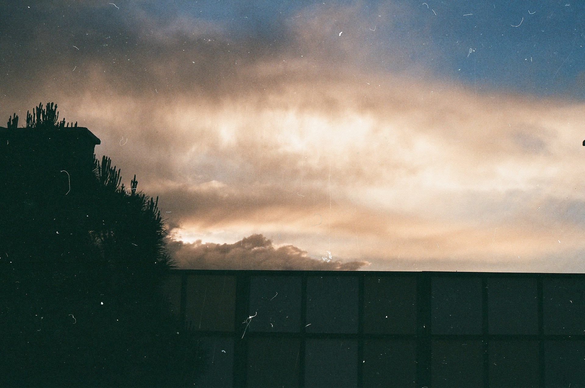 An atmospheric event shot featuring bold contrasts of light and dark, highlighting intimate moments in vivid detail.