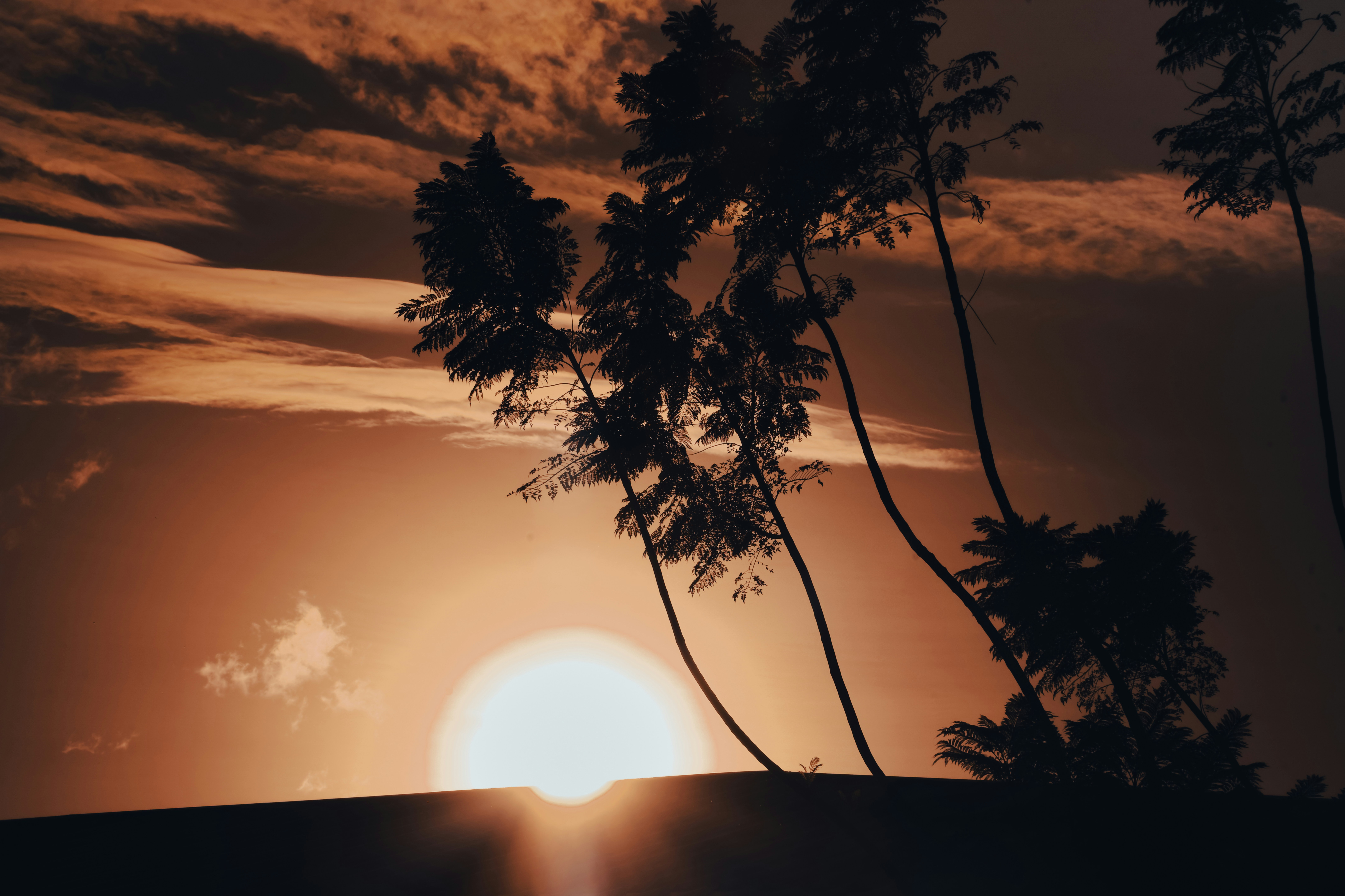 Photo by stevecameup