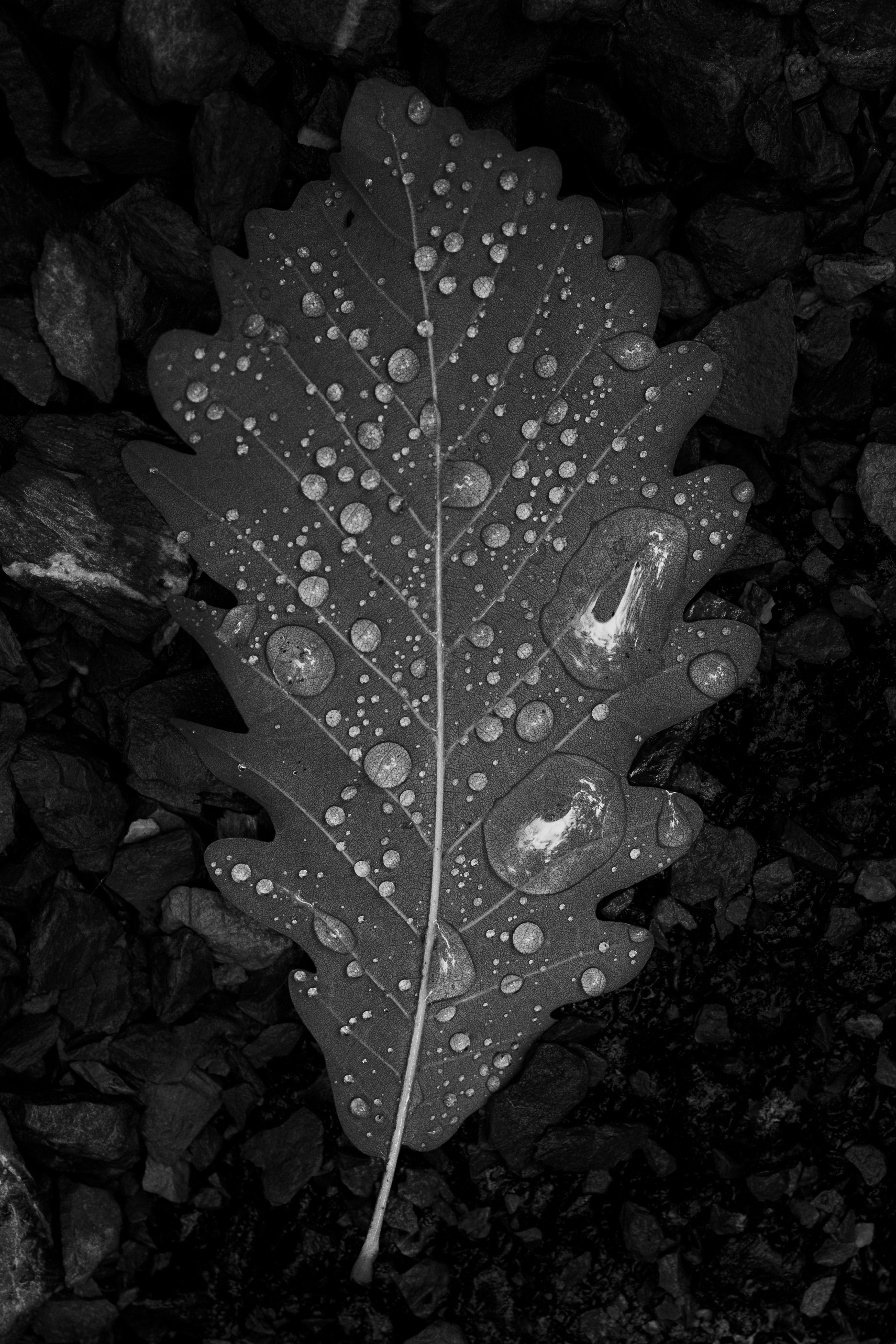 Photo by stasostrikov