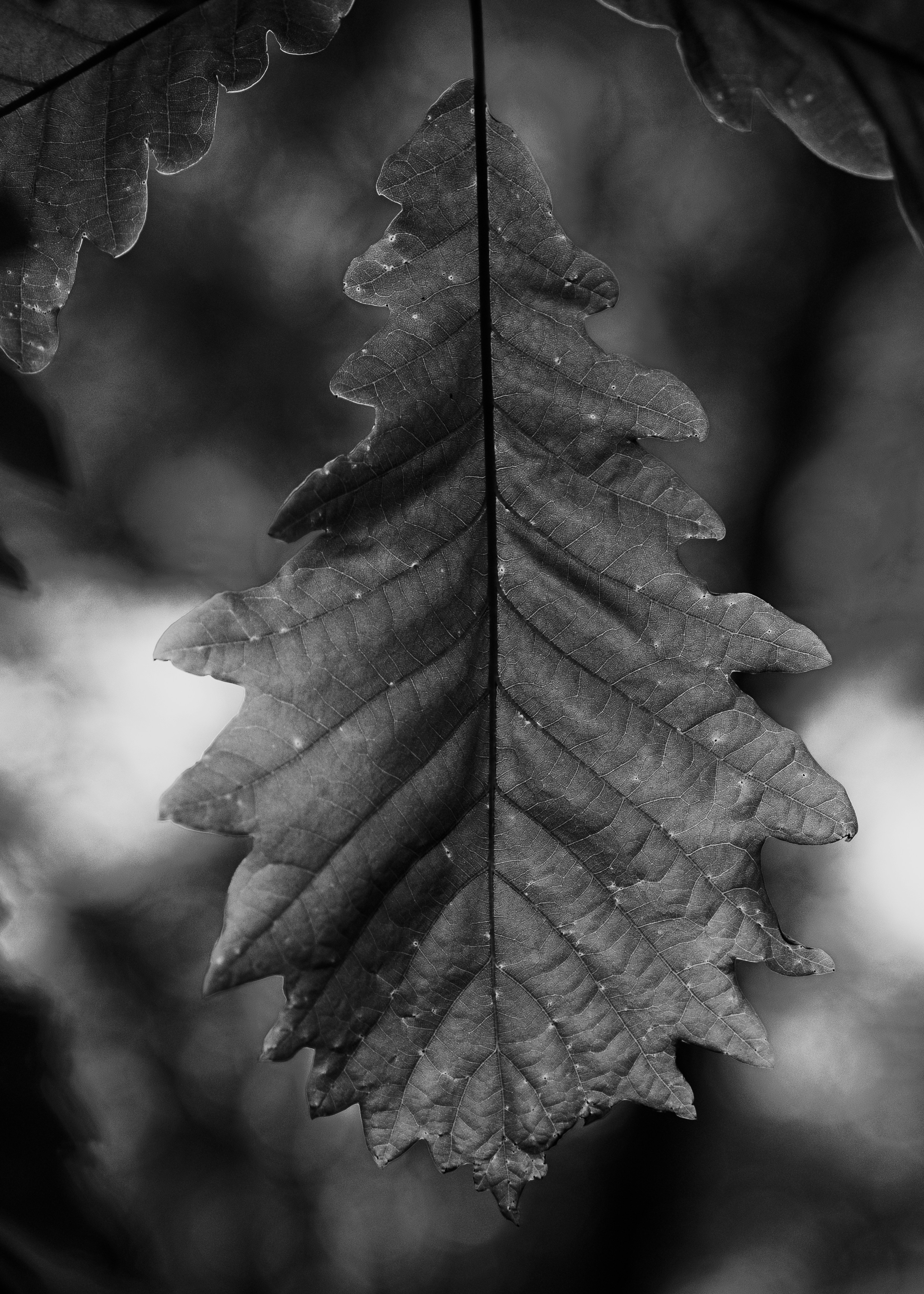 Photo by stasostrikov