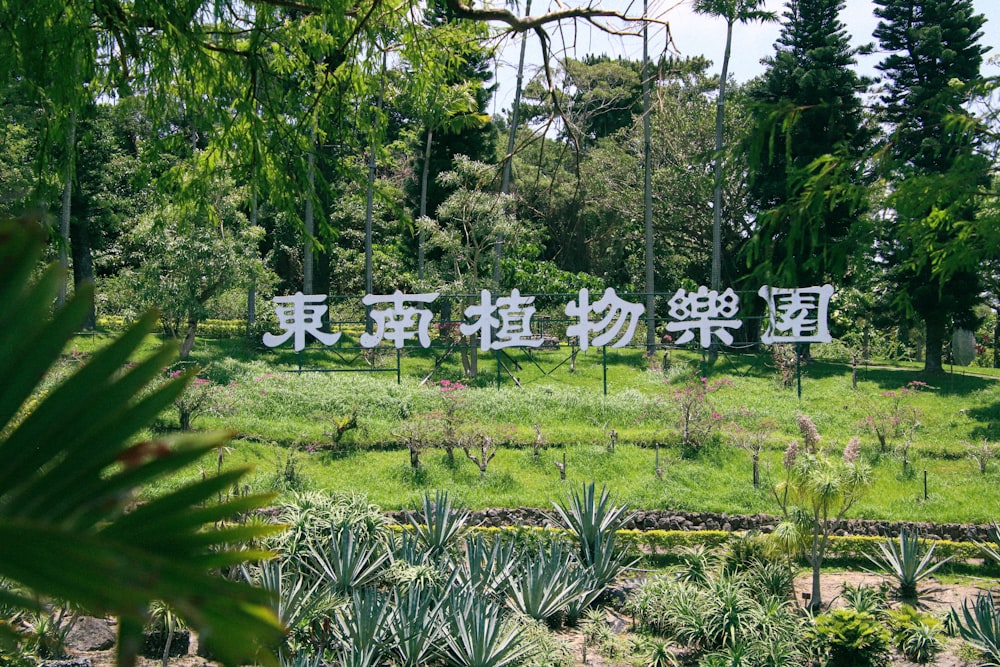 a field with a lot of trees and plants in it