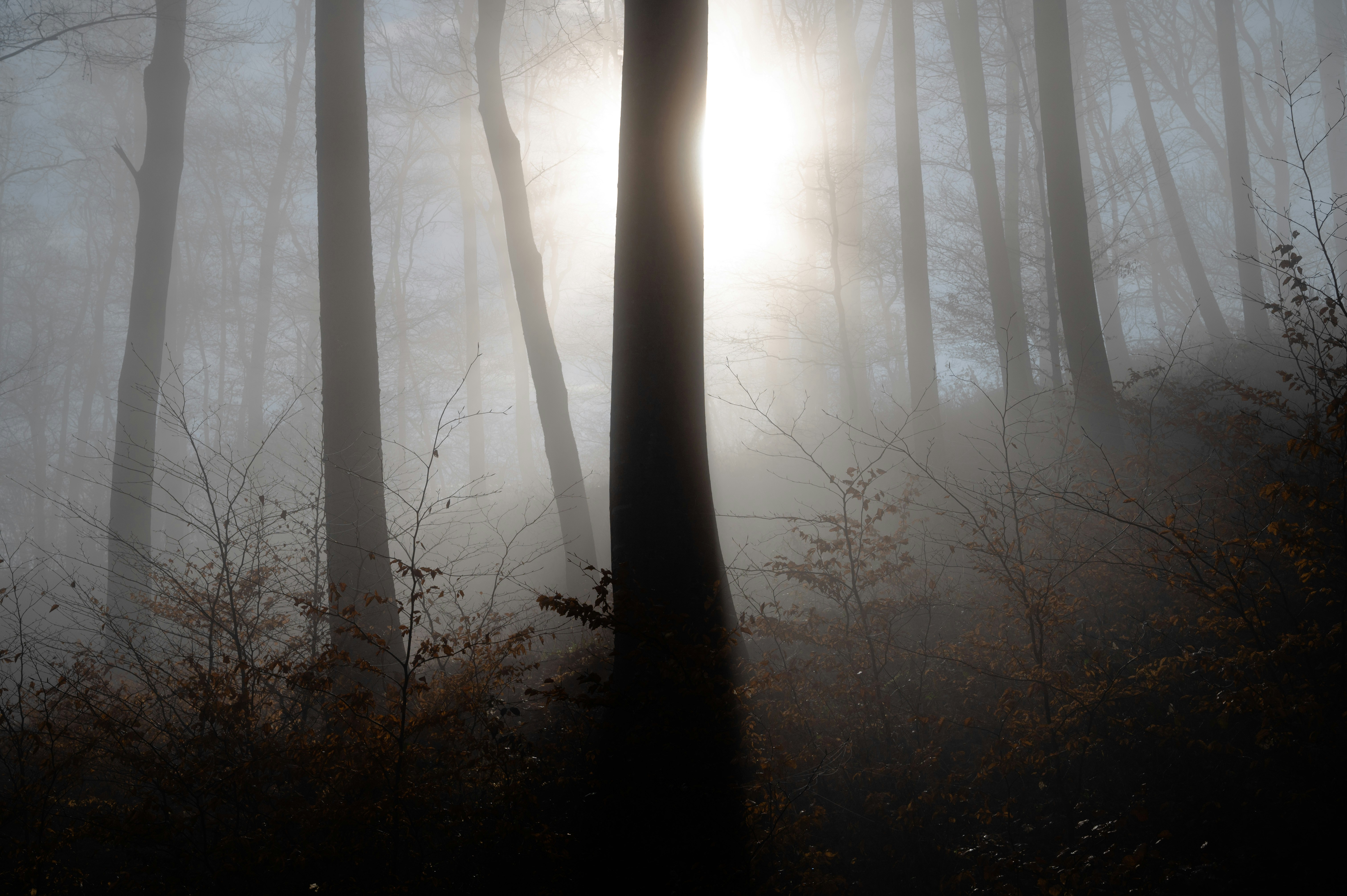 Your Children’s Teachers Will Be Machines. Who’s Writing Their Values?