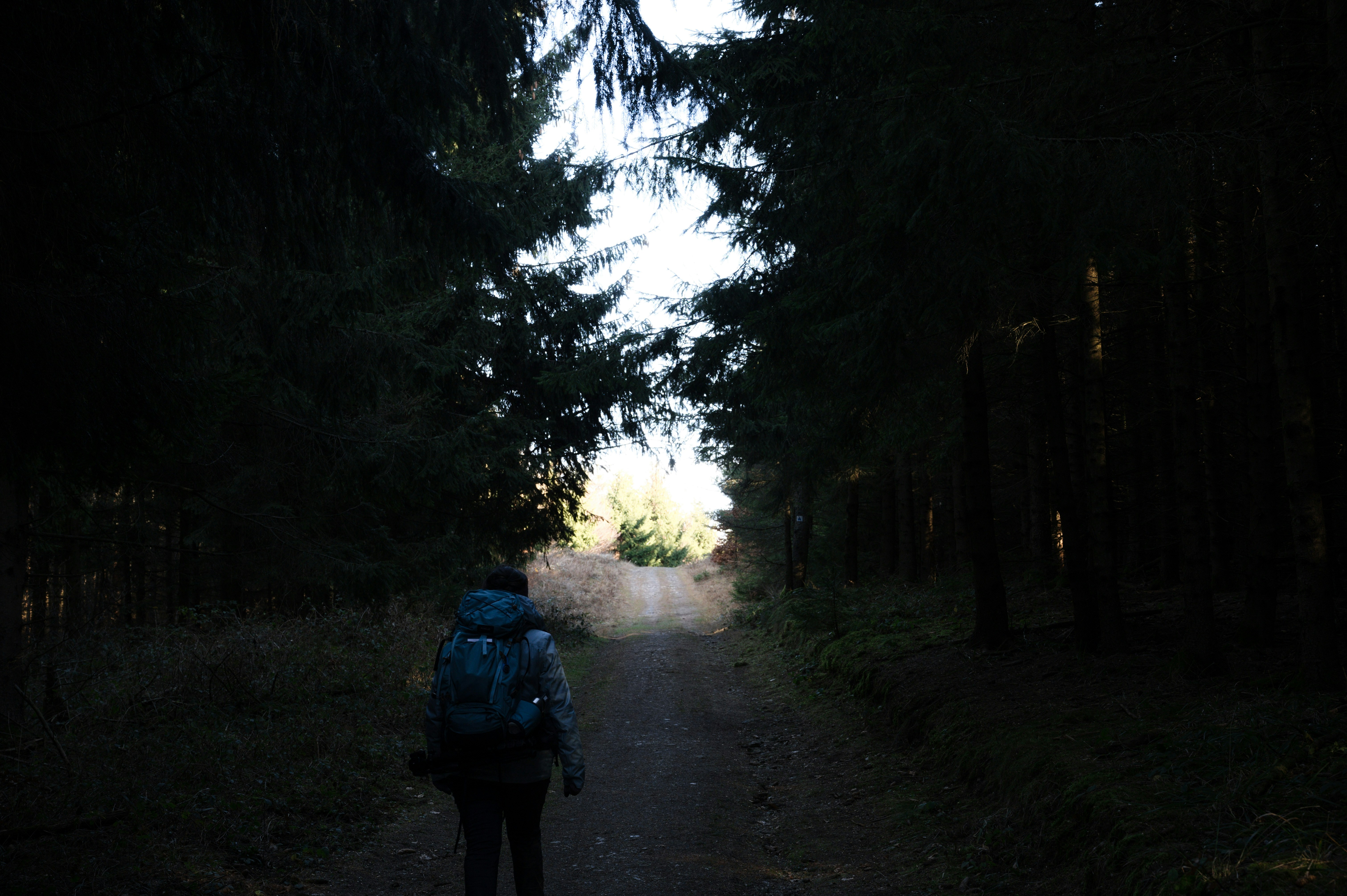 At forest trailhead in morning light, showing the courage required to begin healing