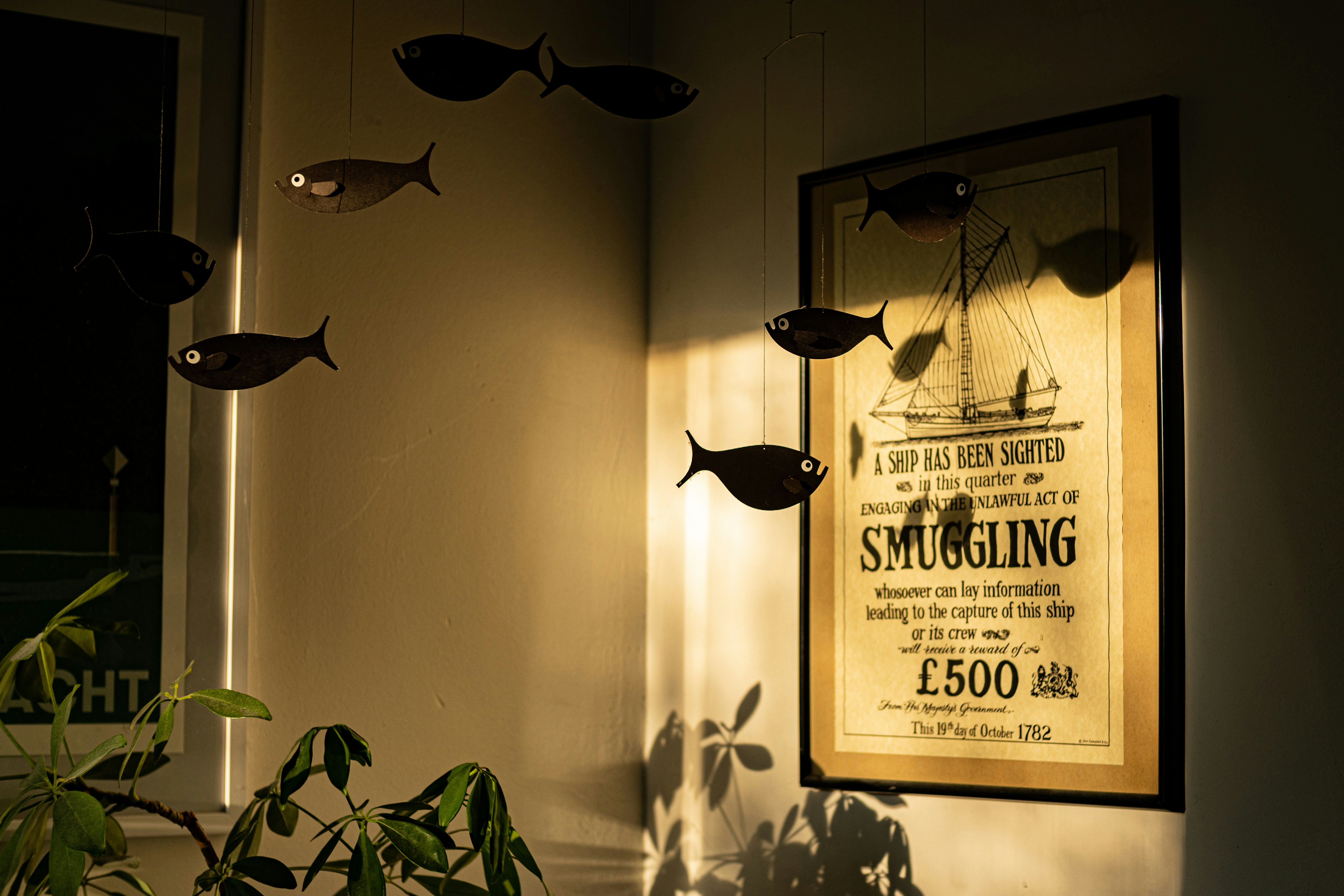 a picture of some fish hanging on a wall