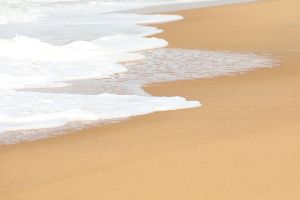 a bird standing on the beach next to the ocean