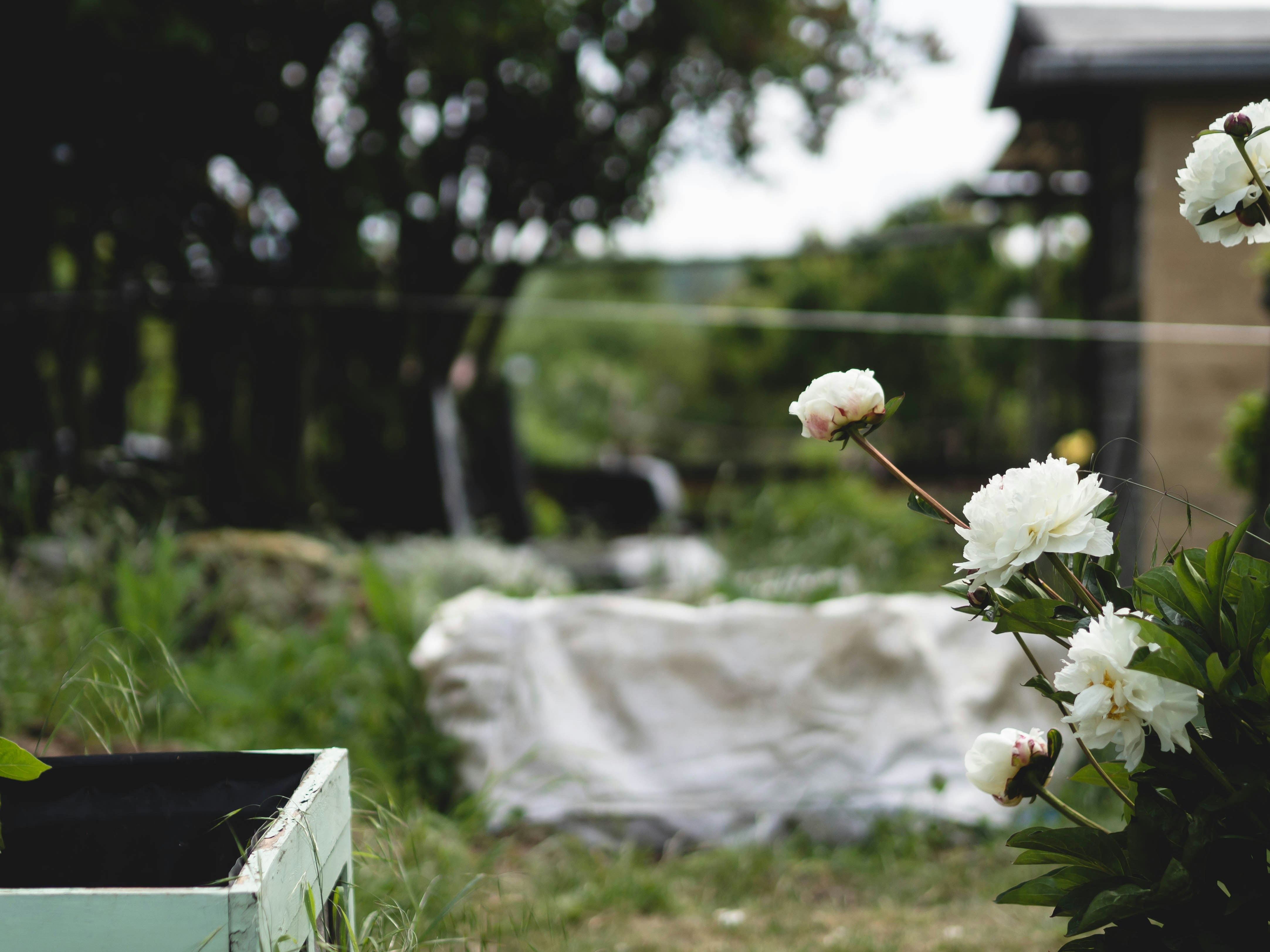 Photo by eileen_kummer