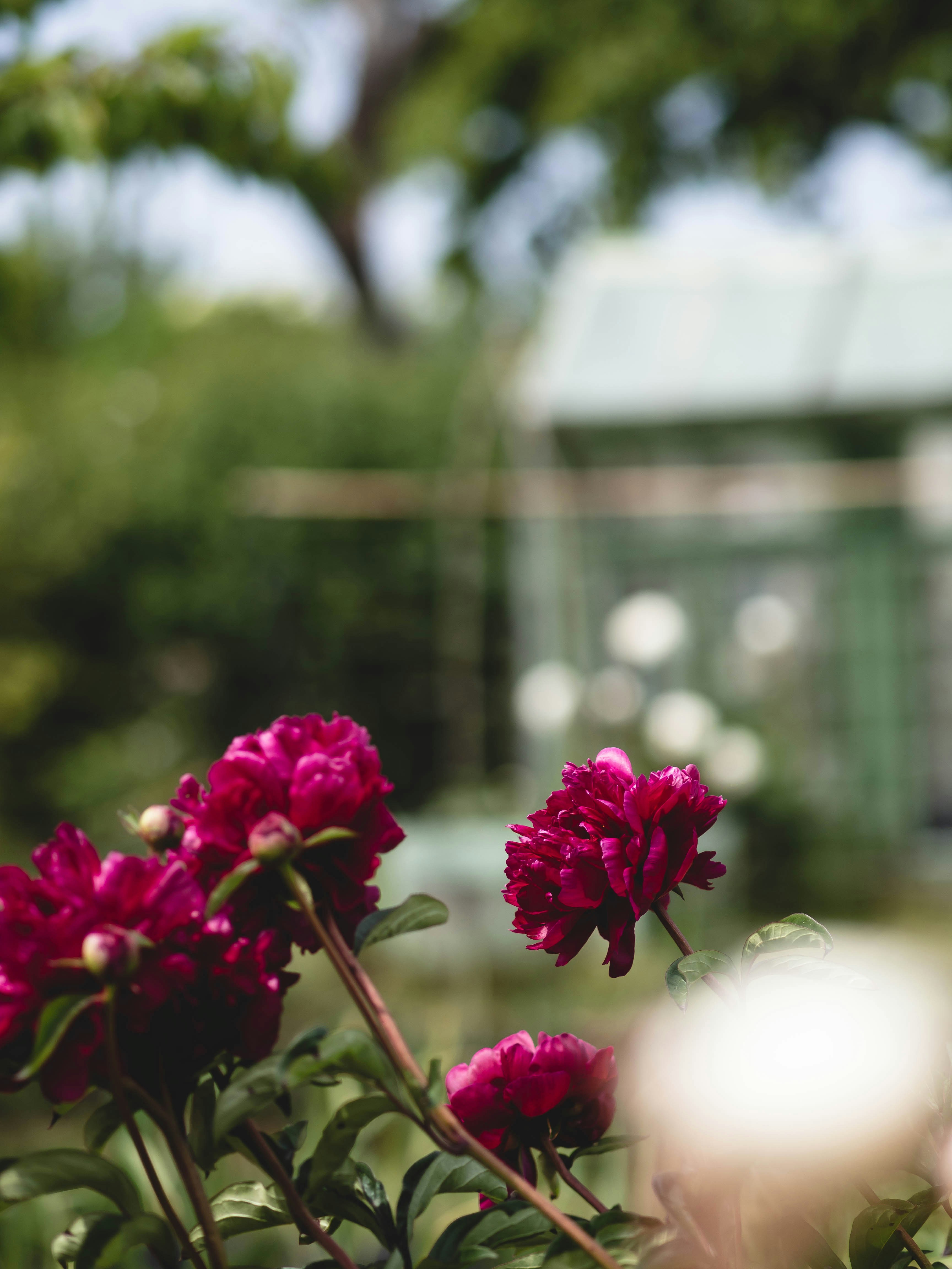 Photo by eileen_kummer