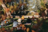 un groupe de personnes à un cours de méditation dans un parc, dans la nature