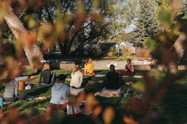 un groupe de personnes à un cours de méditation dans un parc, dans la nature