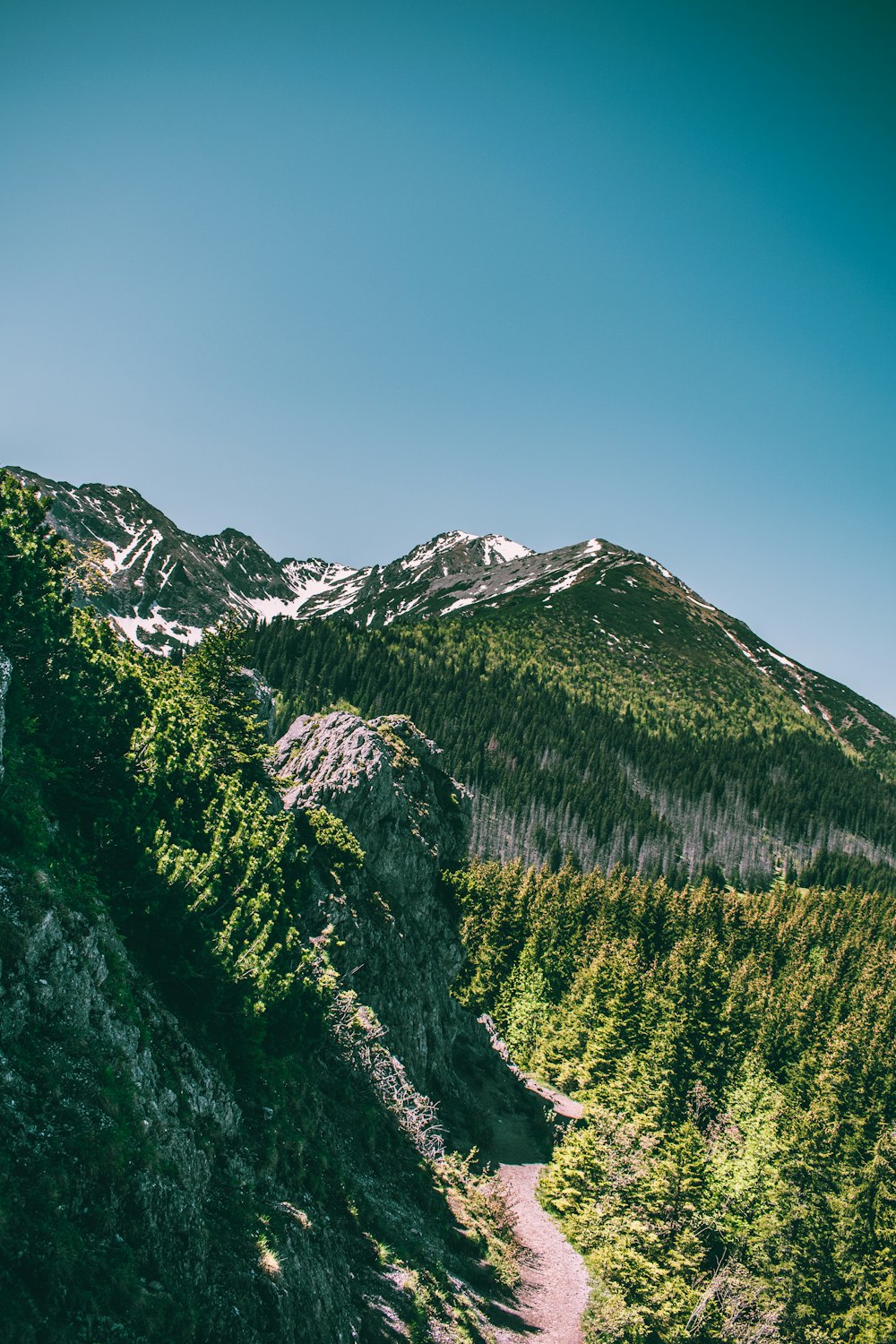 a view of a mountain with a trail going through it