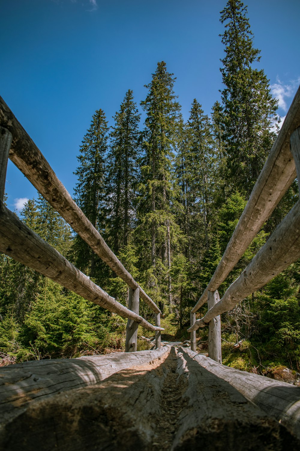 a wooden bridge in the middle of a forest