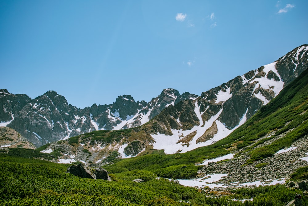 the mountains are covered in snow and green vegetation