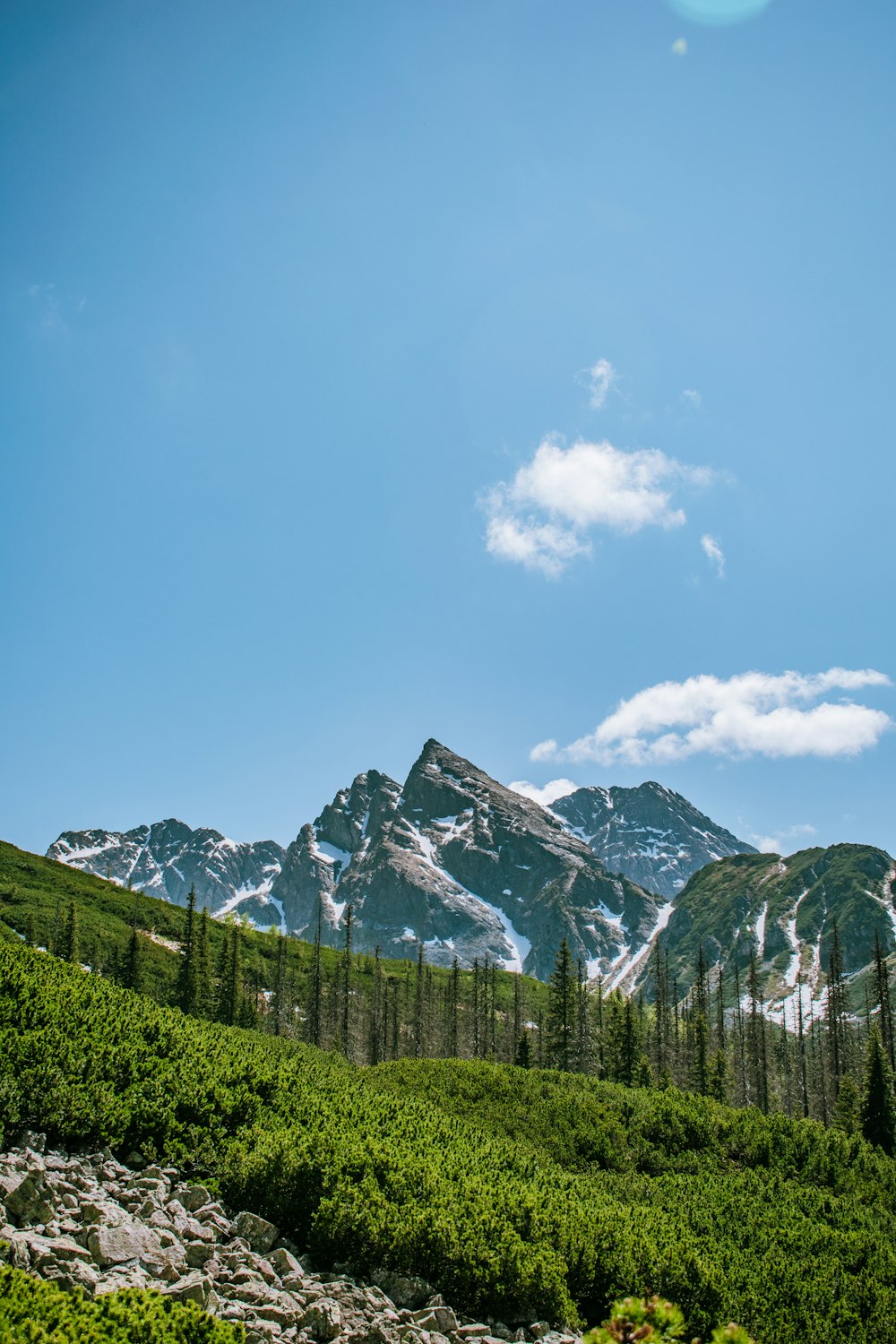 a view of a mountain range with trees in the foreground