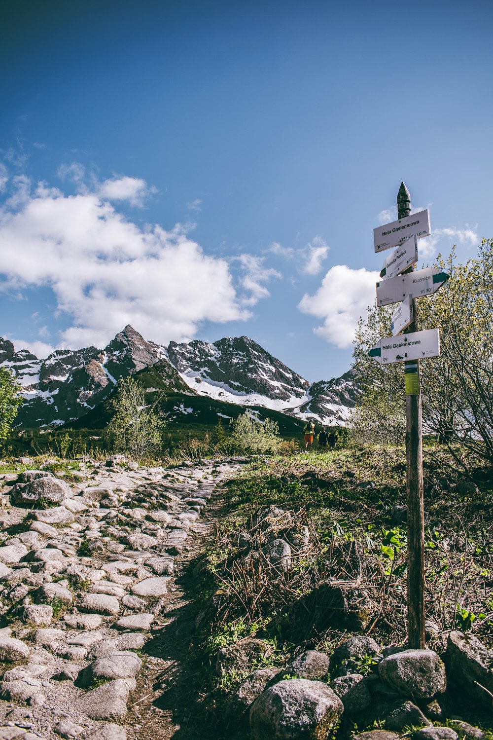 a sign post on the side of a rocky road