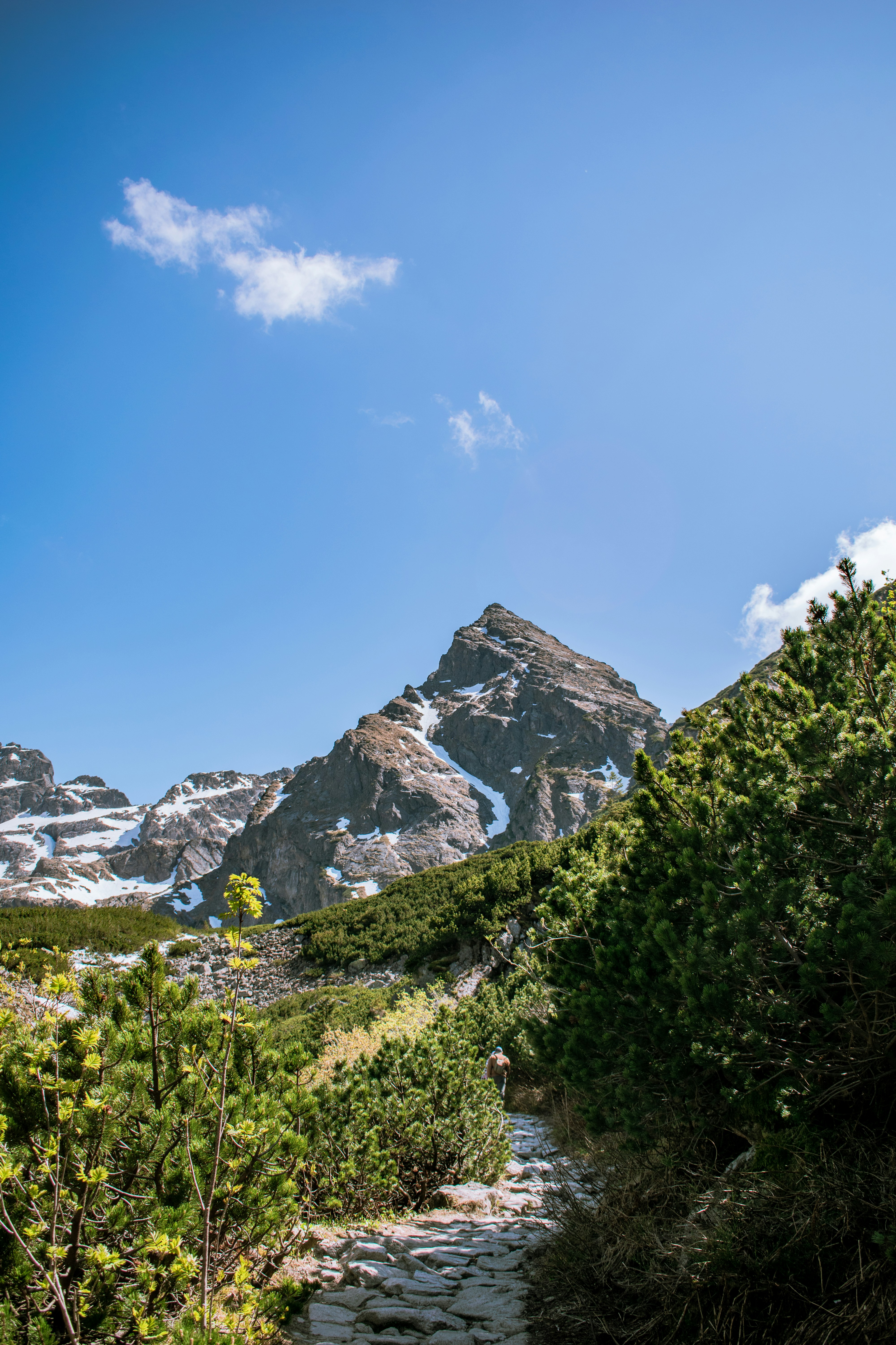 a path leading to a mountain with snow on it