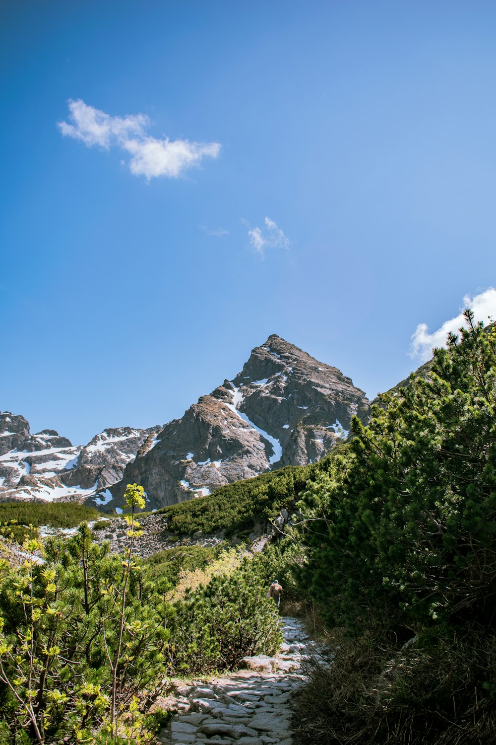 a path leading to a mountain with snow on it