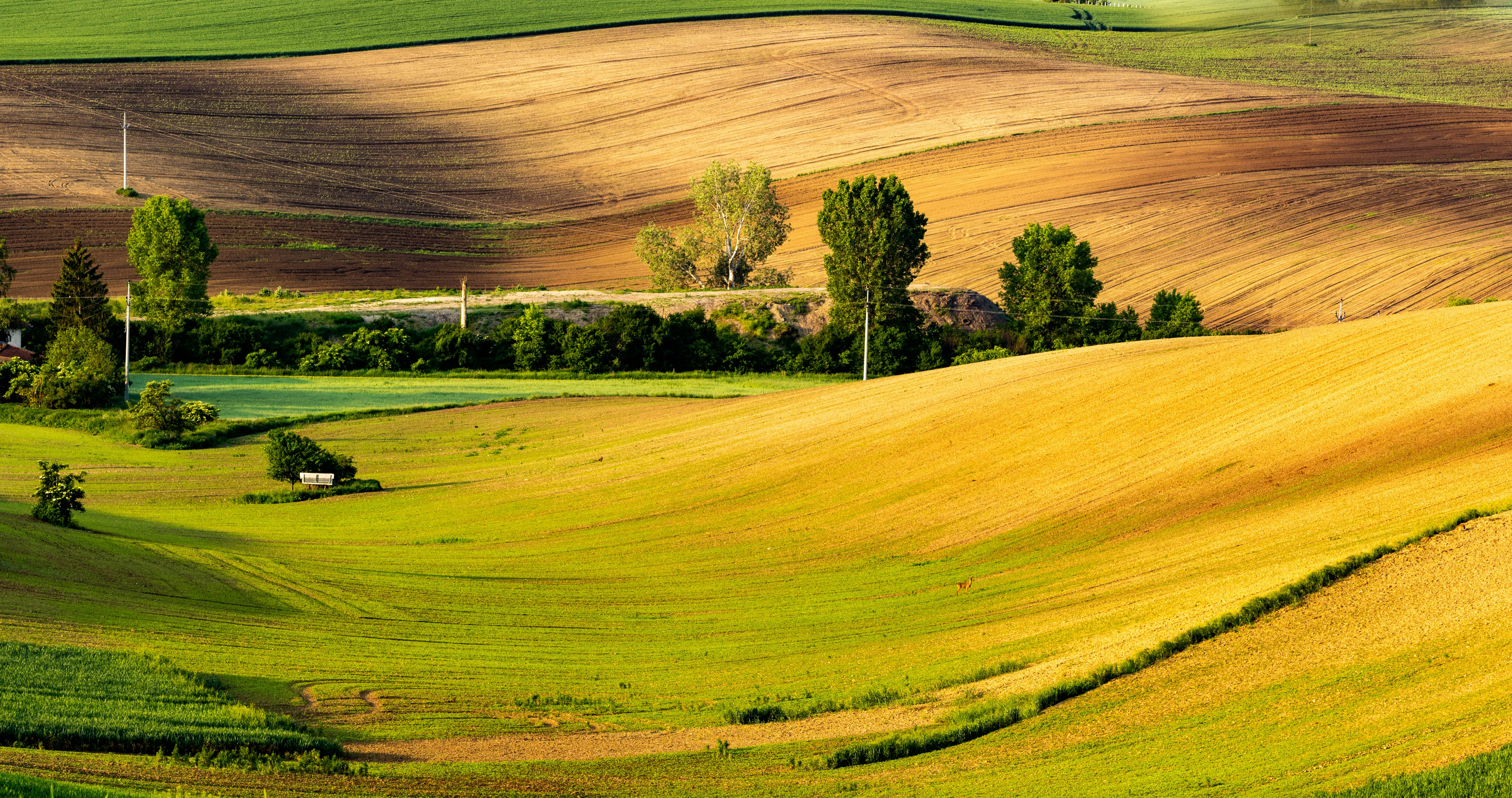 Photo by petrcaslava